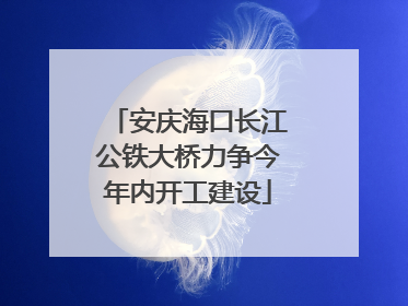 安庆海口长江公铁大桥力争今年内开工建设