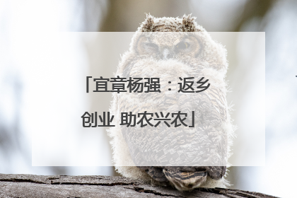宜章杨强：返乡创业 助农兴农