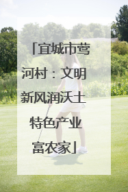 宜城市莺河村:文明新风润沃土 特色产业富农家