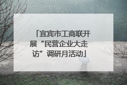宜宾市工商联开展“民营企业大走访”调研月活动