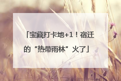 宝藏打卡地+1！宿迁的“热带雨林”火了