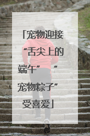 宠物迎接“舌尖上的端午” “宠物粽子”受喜爱