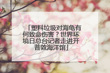 塑料垃圾对海龟有何致命伤害？世界环境日总台记者走进开普敦海洋馆