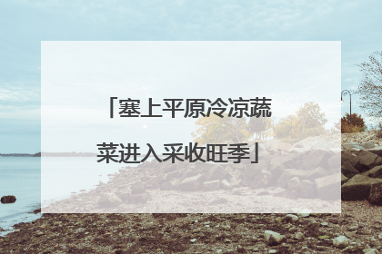 塞上平原冷凉蔬菜进入采收旺季