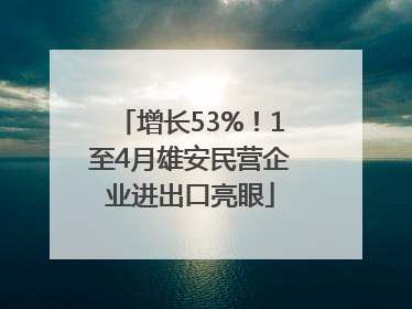 增长53%！1至4月雄安民营企业进出口亮眼
