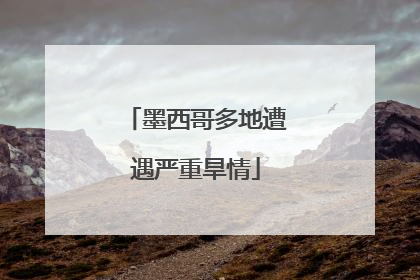 墨西哥多地遭遇严重旱情