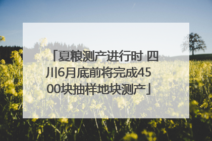 夏粮测产进行时 四川6月底前将完成4500块抽样地块测产