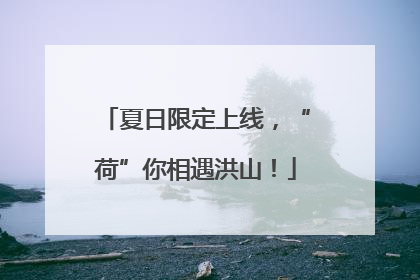 夏日限定上线，“荷”你相遇洪山！