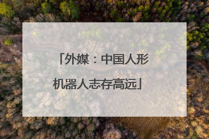 外媒：中国人形机器人志存高远