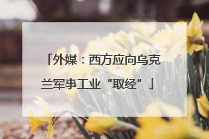 外媒：西方应向乌克兰军事工业“取经”