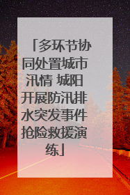 多环节协同处置城市汛情 城阳开展防汛排水突发事件抢险救援演练
