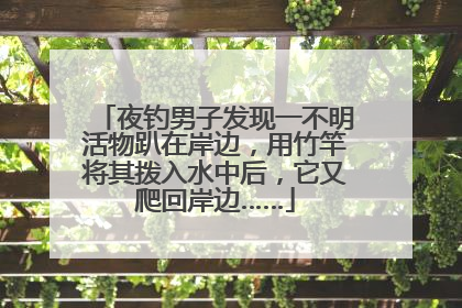 夜钓男子发现一不明活物趴在岸边，用竹竿将其拨入水中后，它又爬回岸边……