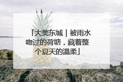 大美东城｜被雨水吻过的荷塘，藏着整个夏天的温柔