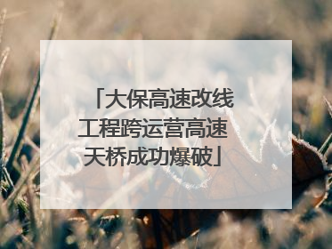 大保高速改线工程跨运营高速天桥成功爆破