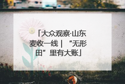大众观察·山东麦收一线｜“无形田”里有大账