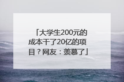 大学生200元的成本干了20亿的项目？网友：羡慕了