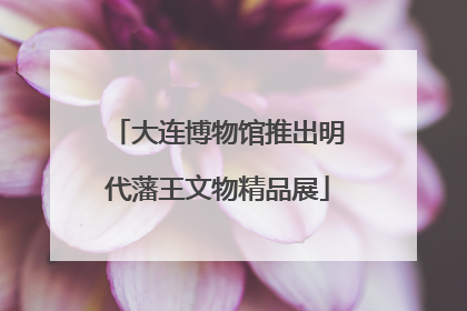 大连博物馆推出明代藩王文物精品展
