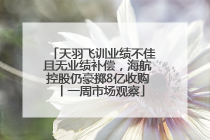 天羽飞训业绩不佳且无业绩补偿，海航控股仍豪掷8亿收购丨一周市场观察