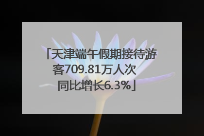 天津端午假期接待游客709.81万人次 同比增长6.3%