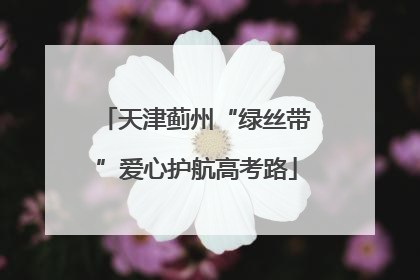 天津蓟州“绿丝带”爱心护航高考路