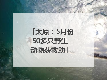 太原：5月份 50多只野生动物获救助