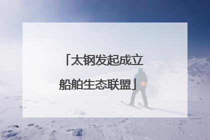 太钢发起成立船舶生态联盟