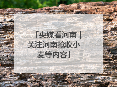 央媒看河南｜关注河南抢收小麦等内容