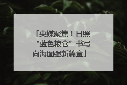 央媒聚焦！日照“蓝色粮仓”书写向海图强新篇章