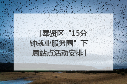 奉贤区“15分钟就业服务圈”下周站点活动安排