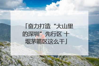 奋力打造“大山里的深圳”先行区 十堰茅箭区这么干
