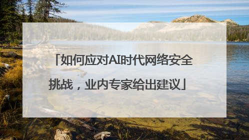 如何应对AI时代网络安全挑战，业内专家给出建议