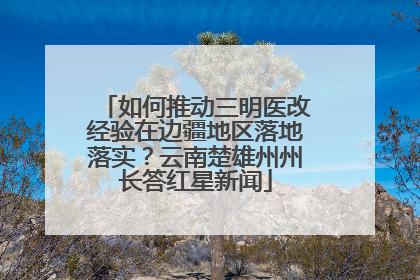如何推动三明医改经验在边疆地区落地落实？云南楚雄州州长答红星新闻