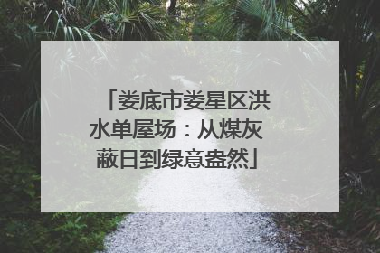 娄底市娄星区洪水单屋场：从煤灰蔽日到绿意盎然