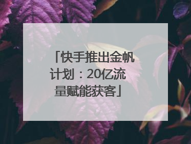 快手推出金帆计划：20亿流量赋能获客