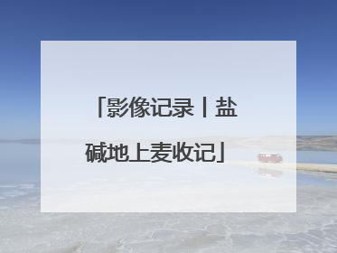 影像记录丨盐碱地上麦收记