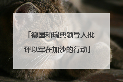 德国和瑞典领导人批评以军在加沙的行动