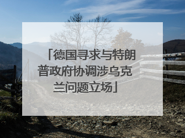 德国寻求与特朗普政府协调涉乌克兰问题立场