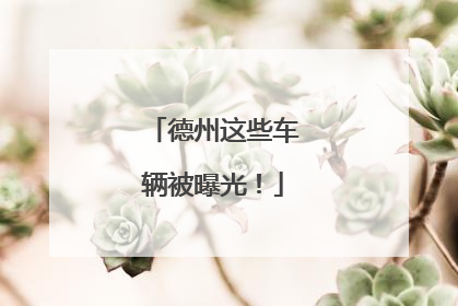 德州这些车辆被曝光！