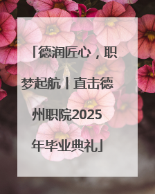 德润匠心，职梦起航丨直击德州职院2025年毕业典礼