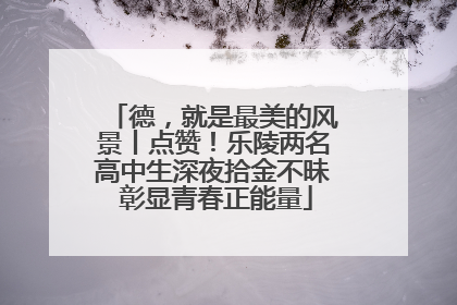 德，就是最美的风景丨点赞！乐陵两名高中生深夜拾金不昧 彰显青春正能量