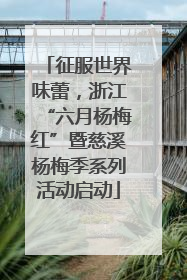 征服世界味蕾，浙江“六月杨梅红”暨慈溪杨梅季系列活动启动