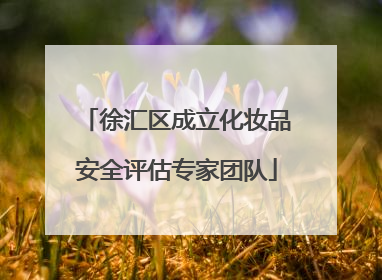 徐汇区成立化妆品安全评估专家团队