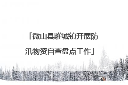 微山县驩城镇开展防汛物资自查盘点工作