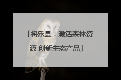 将乐县：激活森林资源 创新生态产品