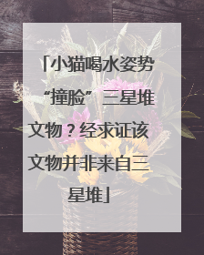 小猫喝水姿势“撞脸”三星堆文物？经求证该文物并非来自三星堆