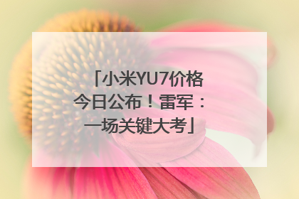 小米YU7价格今日公布！雷军：一场关键大考