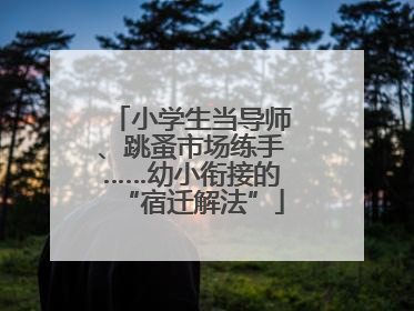 小学生当导师、跳蚤市场练手……幼小衔接的“宿迁解法”