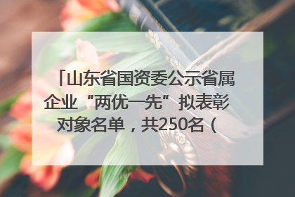 山东省国资委公示省属企业“两优一先”拟表彰对象名单，共250名（个）党员和党组织