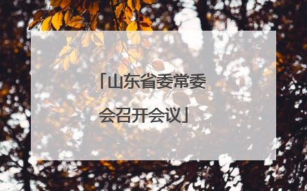 山东省委常委会召开会议