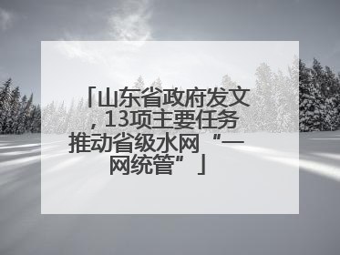 山东省政府发文，13项主要任务推动省级水网“一网统管”